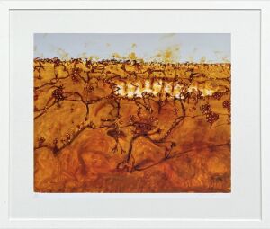 John Olsen