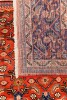 Maralan 315 x 215cm - 4