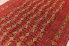 Bashiri 293 x 196cm - 2