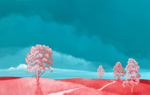 Lucinda Leveille