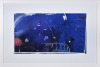 Brett Whiteley