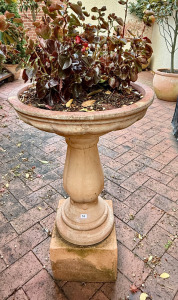 Bird Bath