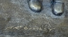 David Bromley - 2