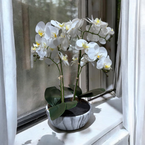 Homewares