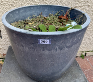 Garden Pot