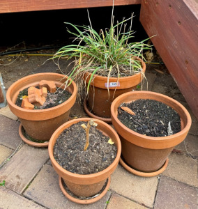Garden Pots