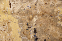 Jaipur 269 x 166cm - 2