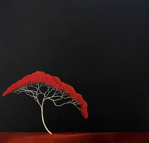 Lucinda Leveille