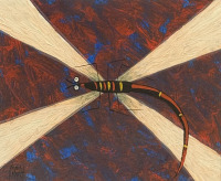 Kym Hart - 2