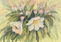 Marina Dick - 2