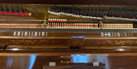 Steinway Piano - 7