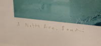 Aquabumps - 3