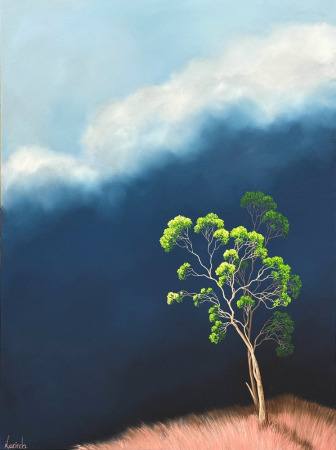 Lucinda Leveille