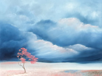 Lucinda Leveille