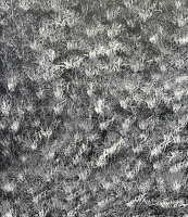 Trephina Sultan - 2