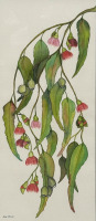 Sue Hill - 4