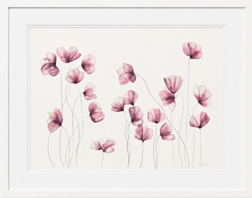 Lucinda Leveille