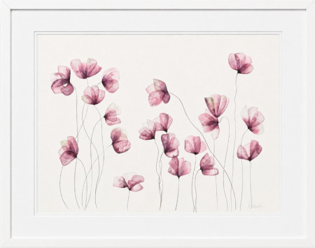 Lucinda Leveille