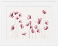 Lucinda Leveille