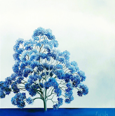 Lucinda Leveille