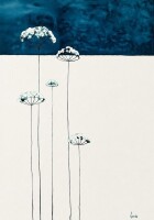 Lucinda Leveille - 2
