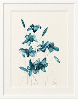 Lucinda Leveille
