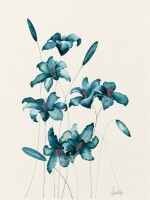 Lucinda Leveille - 2