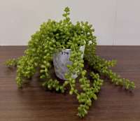Homewares