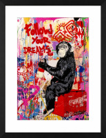 Mr Brainwash