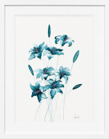 Lucinda Leveille