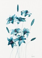 Lucinda Leveille - 2