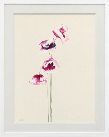 Lucinda Leveille