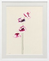 Lucinda Leveille