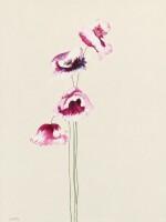 Lucinda Leveille - 2