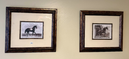 Equestrian Etchings