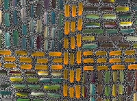 Natalie Mills 200 x 110cm - 3