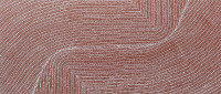 Tansy Martin Napangarti 201 x 86cm - 2