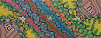 Vivienne Nakamarra Kelly 170 x 81cm - 2