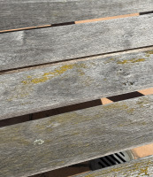 Two Teak Chaises - 3