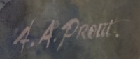 A.A. Pronk - 3