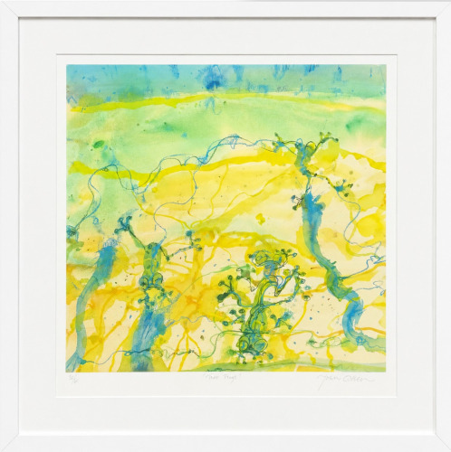 John Olsen