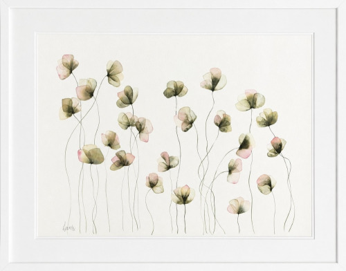 Lucinda Leveille