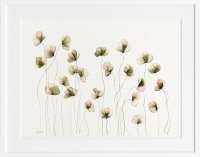 Lucinda Leveille