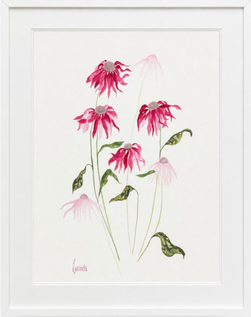 Lucinda Leveille
