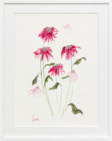 Lucinda Leveille