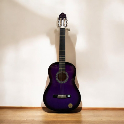 Valencia Guitar